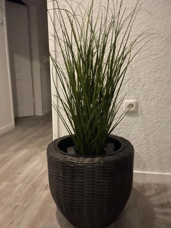 Ferienwohnung Haus Mariechen Hooksiel Exterior foto